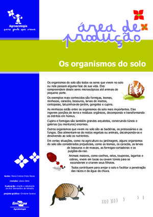 Organismos do Solo